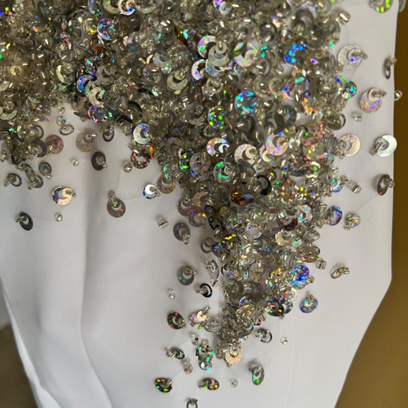 Landa Wedding / Prom dress size 10 - Picture 8 of 11